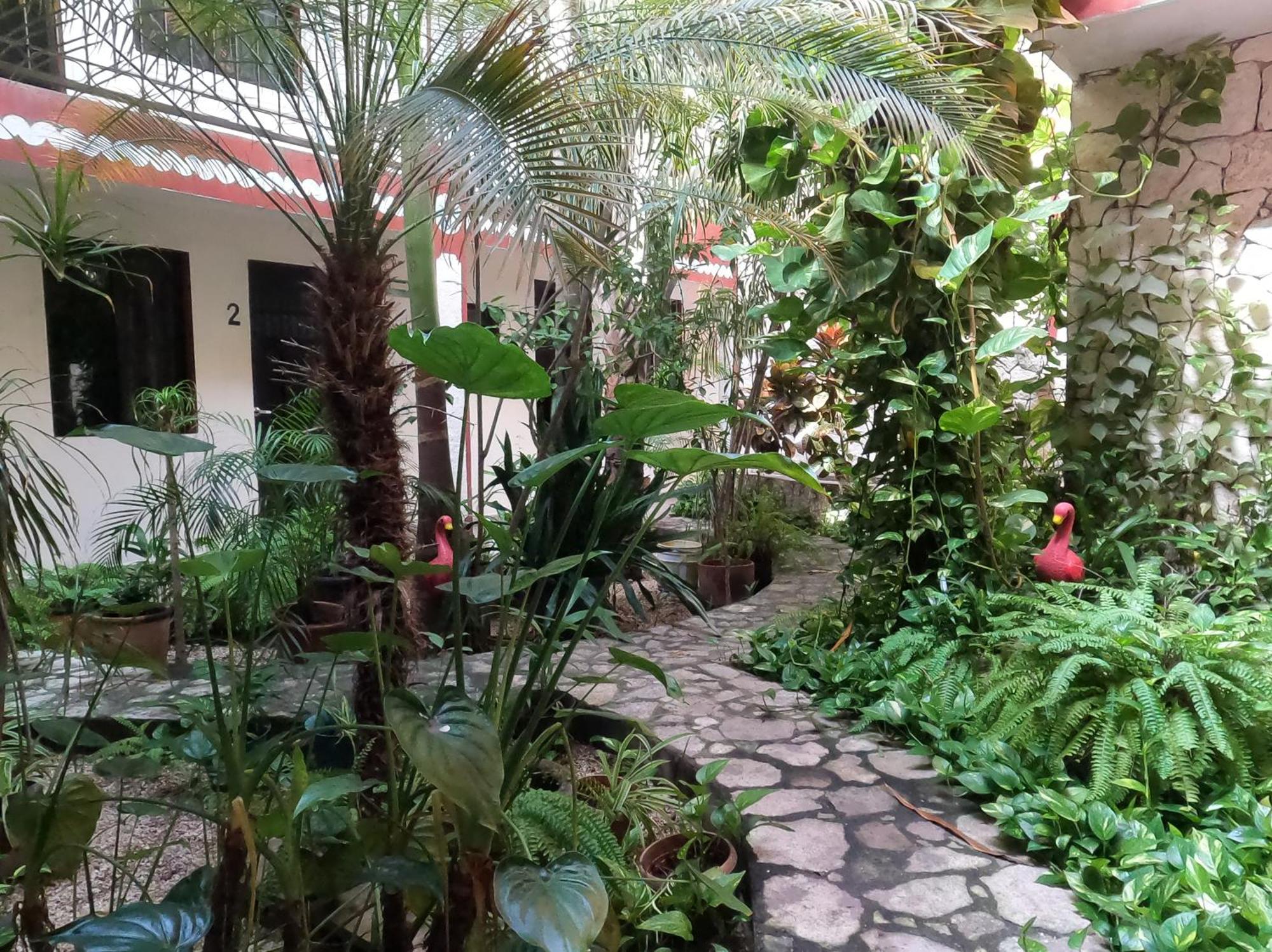 Hotel Quinta Marciala Mx バリャドリッド エクステリア 写真